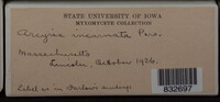 Image Associated With the Occurence